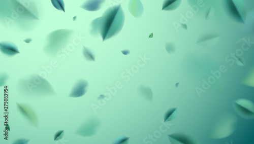 Green nature abstract background with flying spring leaves vector design