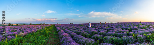 The girl poses for the photographer on the lavender fields