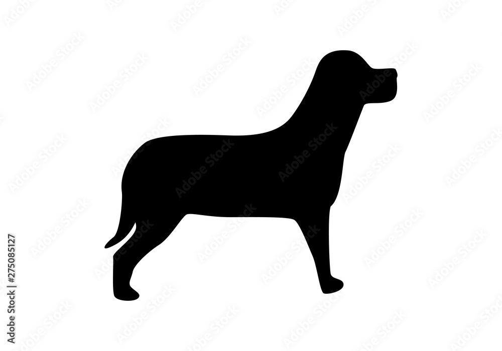 Silueta negra de un perro sobre fondo blanco.