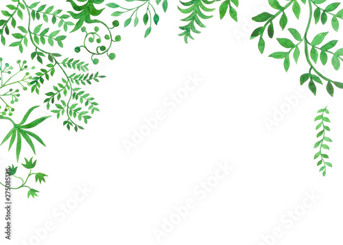 cornice piante verdi acquerello