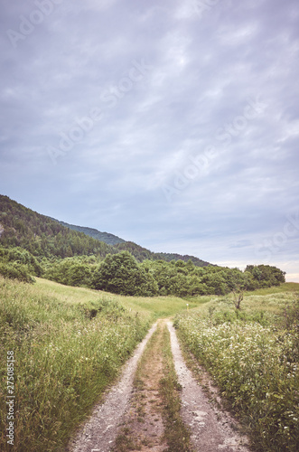 Path in Mala Fatra National Park on a cloudy day, color toning applied, Slovakia.