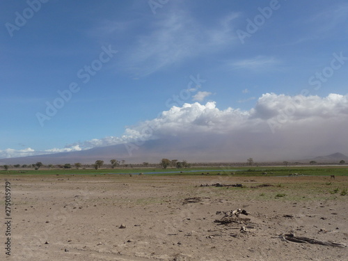 Afrika  Landschaft  weites Land  Wasserstelle  Safari