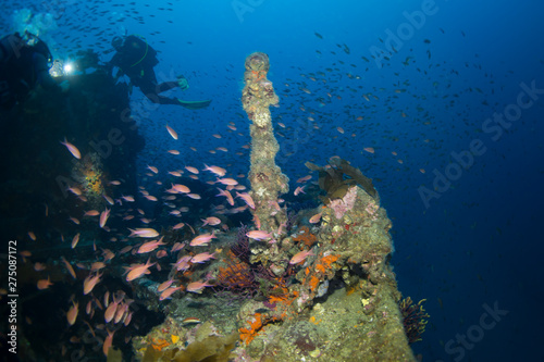 Fototapeta Naklejka Na Ścianę i Meble -  Wreck sea of Donator (Prosper Schiaffino), mediterranean sea.