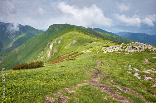 Fototapeta Naklejka Na Ścianę i Meble -  Ridge leading to the Velky Krivan (1,709 m), highest mountain in the Lesser Fatra (Mala Fatra), Slovakia.