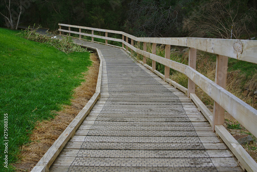 Wooden walking path in forest