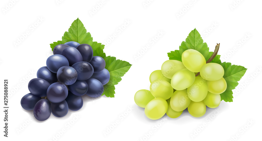 Red and white table grapes. Wine grapes realistic bunch vector icon set Red and white table grapes. Wine grapes realistic bunch vector icon set