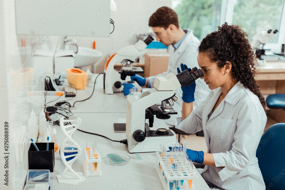 Intelligent professional biologists sitting at the microscopes Intelligent professional biologists sitting at the microscopes