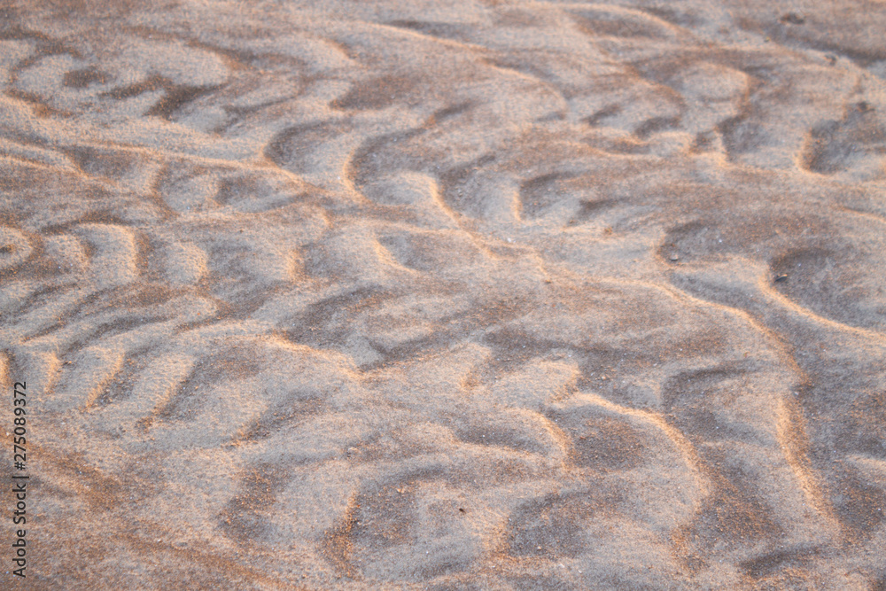 Fototapeta premium sand pattern in the desert