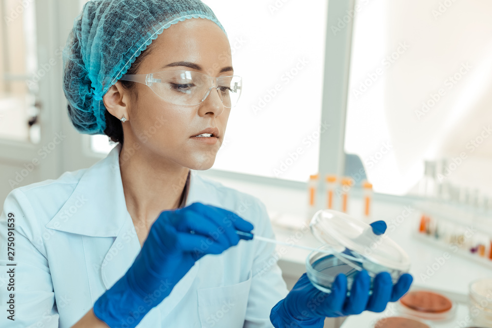 Intelligent thoughtful nice woman studying bacteria development Intelligent thoughtful nice woman studying bacteria development