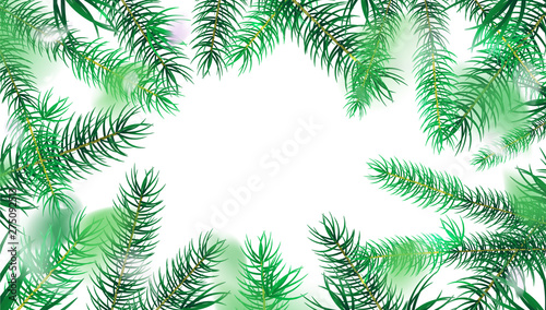 White nature abstract background with fir tree leaves vector design