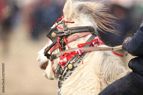 Details with an adorned horse in rural Romania