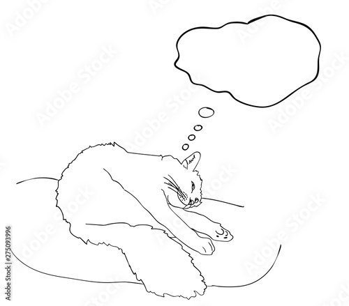 Vector illustration, isolated smiling daydreaming about something happy cat, dream cloud with empty space in black and white colors, outline original hand painted drawing