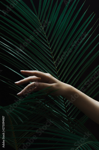 Wallpaper Mural Female hand with palm leaves on a black dark background. Dark light, stylish beauty composition. Torontodigital.ca