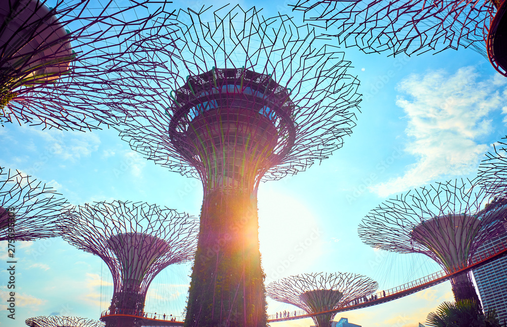 Gardens by the Bay  with Supertree in Singapore - obrazy, fototapety, plakaty 