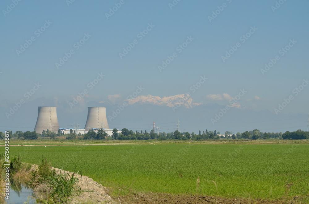 Centrale nucleare in mezzo alle risaie