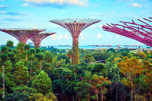 Gardens by the Bay with Supertree in Singapore