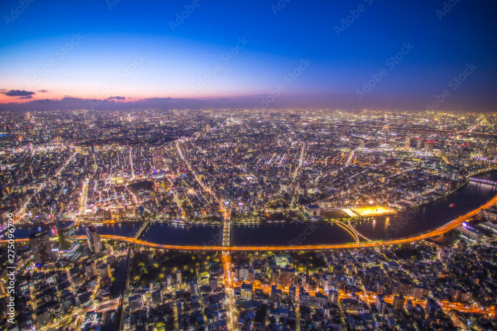 Fototapeta premium the night view by tokyo skytree