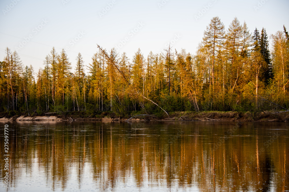 trees reflecting in water trees reflecting in water