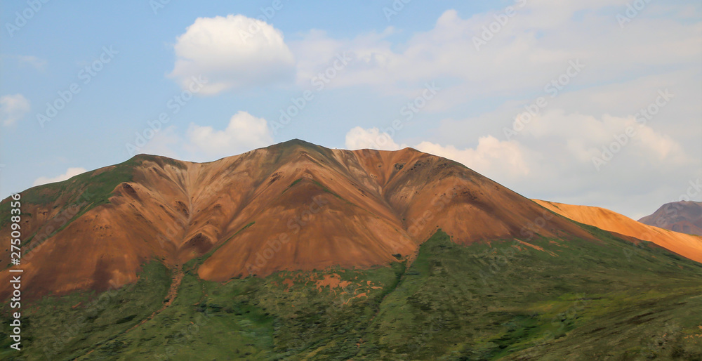 Naklejka premium Colorful Polychrome Mountains in Denali National Park, Alaska