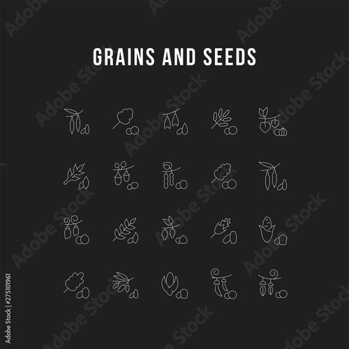 Set Vector Line Icons of Grains and Seeds