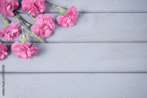 Floral background. Carnation flowers on a wooden background. A place for an inscription. © morissfoto