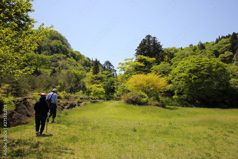 花　風景