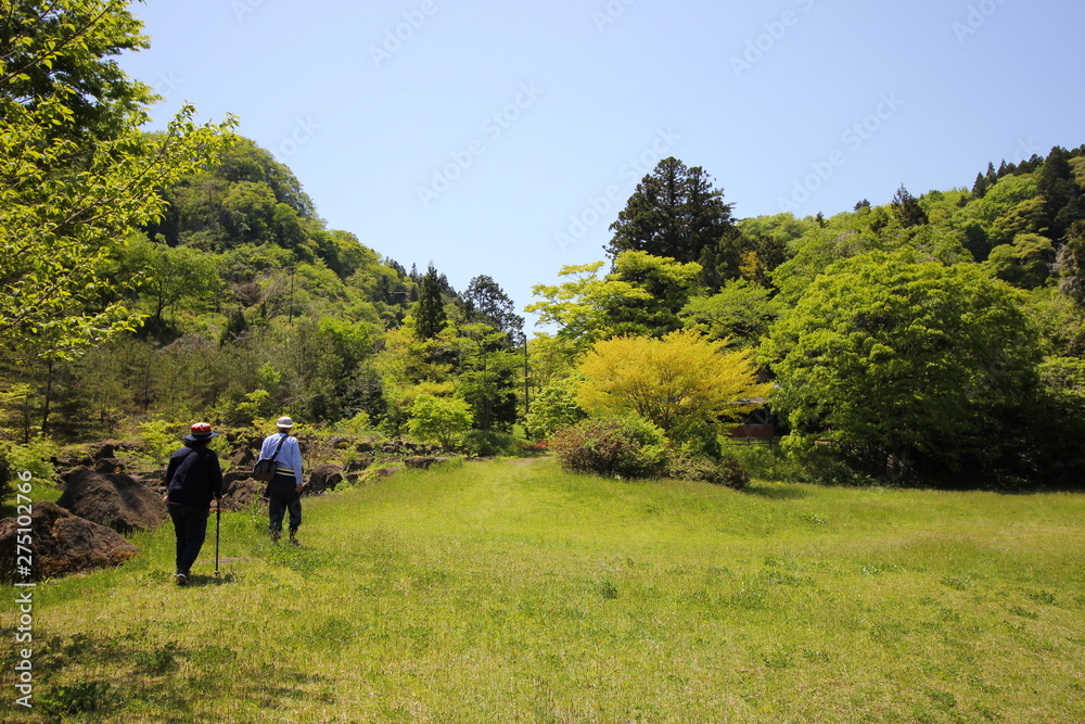 花　風景