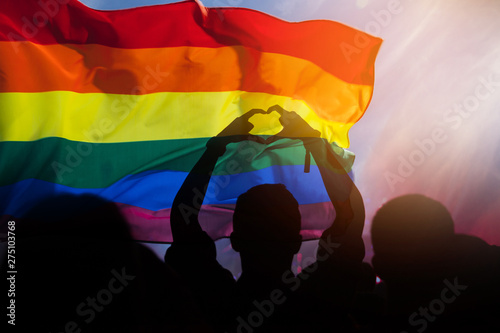 LGBT flag. © belyaaa