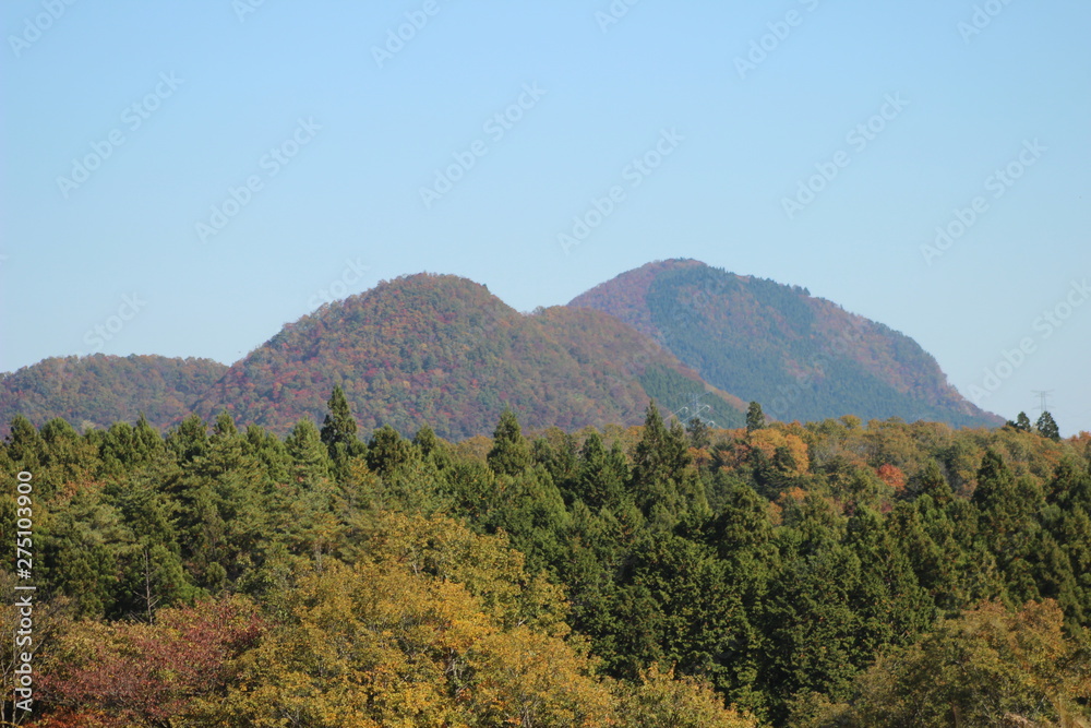 風景