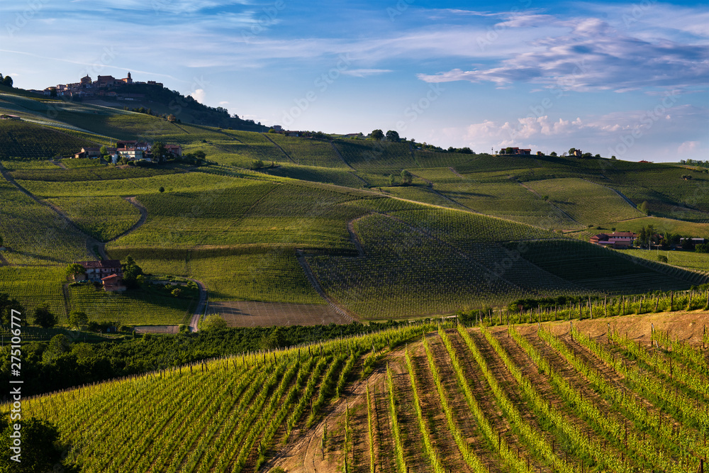 Vineyards and woods on the Sarmassa hillside site in the Municipality of Barolo Piedmont Italy