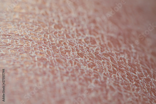 Photography background texture of dry, unhealthy skin is covered with small and large cracks