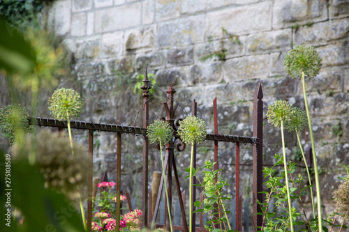 Gartenimpression