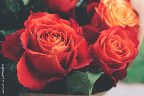 Bouquet of beautiful unique red  orange and peach colors roses on natural background.