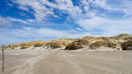 Danish Coast and Beach Line in Gr  nhoj  near L  kken  North Denmark