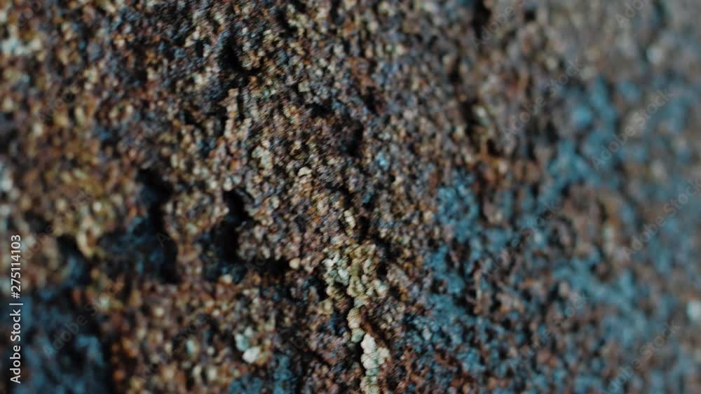 Brown rusty painted metal surface, macro texture of metal corrosion Brown rusty painted metal surface, macro texture of metal corrosion