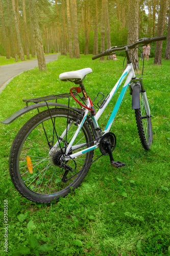 Female bike on the grass in the forest. Picnic in nature. Cycling in the forest or park.