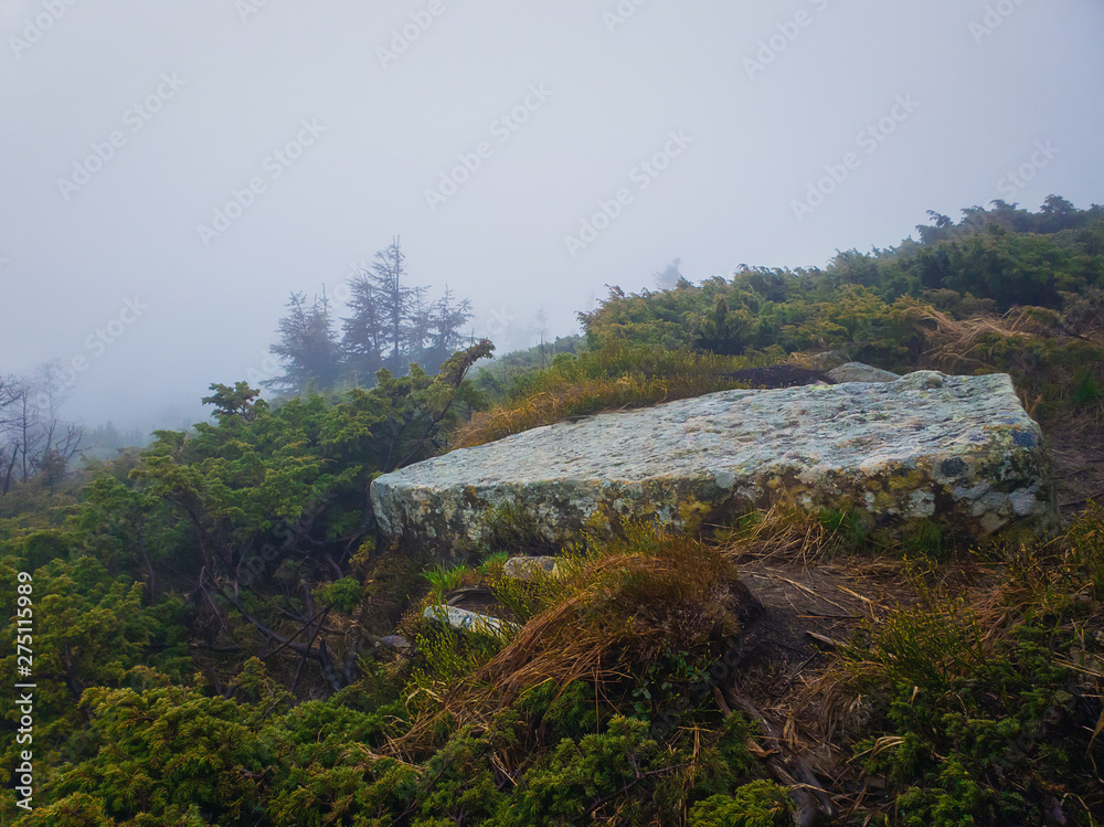 Flat piece of rock of big dimensions as seen on a mountain hill through the coniferous bushes. Granite stone over the misty valley.