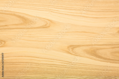 Ash wood texture. The background of the wood of hardwood_