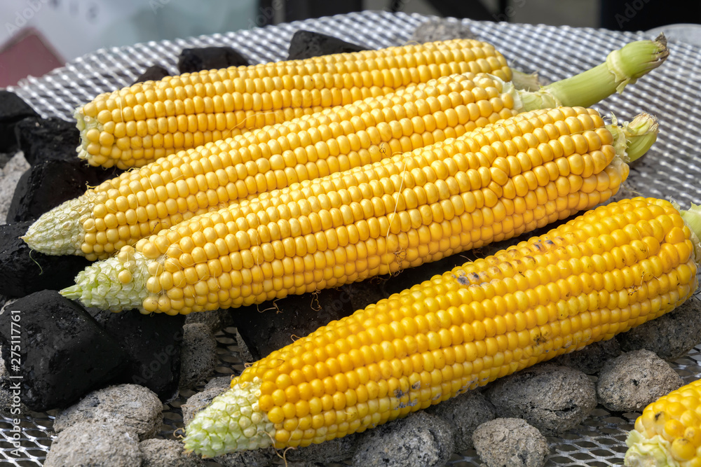 Fresh corn cobs are roasted on the coals. Close-up Fresh corn cobs are roasted on the coals. Close-up