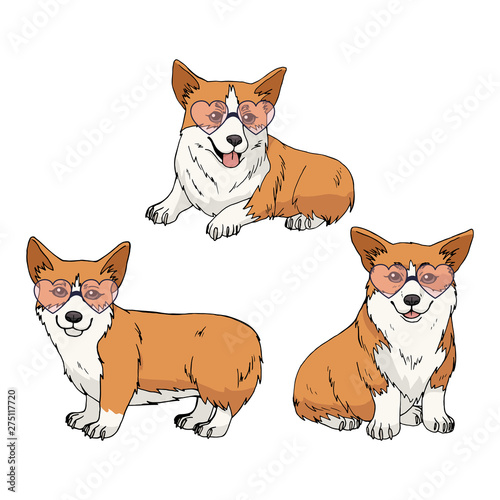 Set of three cute pembroke welsh corgi wearing pink heart glasses isolated on white background. Vector illustration with funny cartoon dogs for your design