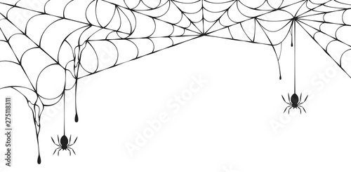 Leinwand Poster Halloween spiderweb border with hanging spiders