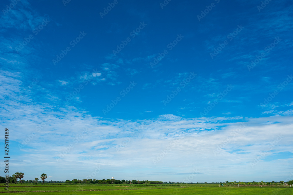 Blue sky background with green fields and white clouds. Blue sky background with green fields and white clouds.