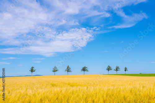 北海道田園風景