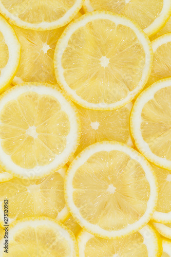 Fototapeta Naklejka Na Ścianę i Meble -  Lemons citrus fruits lemon portrait format collection food background fresh fruit