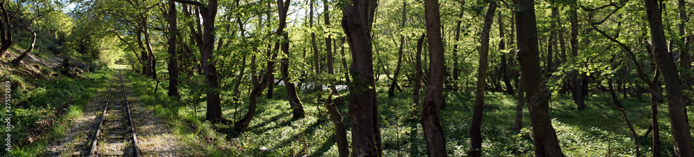 Fototapeta premium Railway in the forest