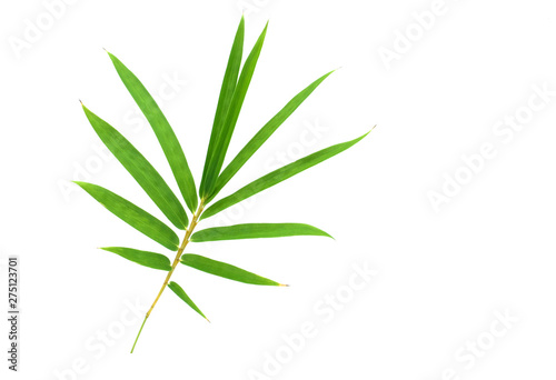 Bamboo leaf isolated on white background with clipping path  Bamboo leaf texture background  Chinese bamboo leaf  Green leaves