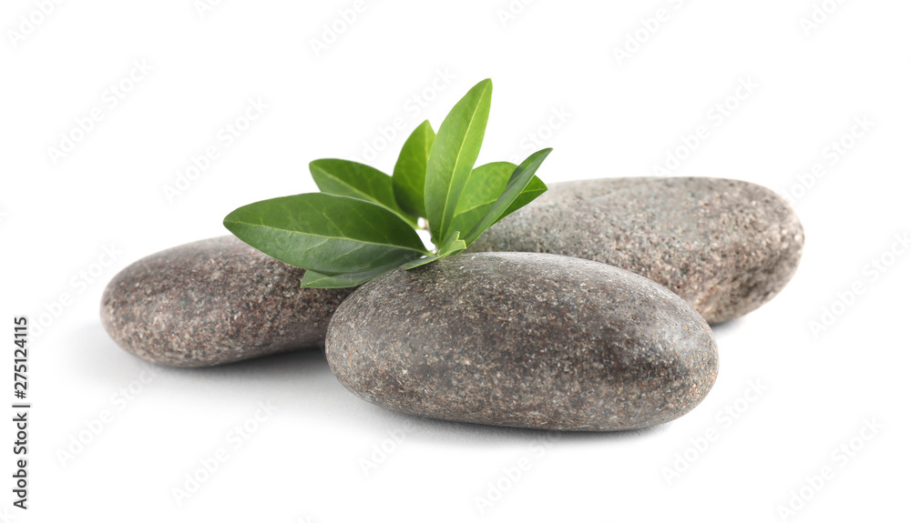 Spa stones with green branch isolated on white Spa stones with green branch isolated on white