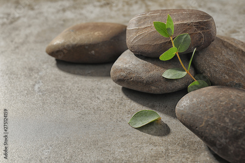 Spa stones with eucalyptus on color background. Space for text
