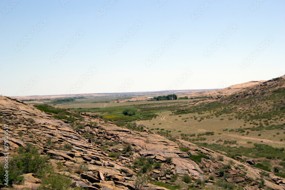 Fototapeta premium Amazing vegetation in rocky terrain on the way to the mountains