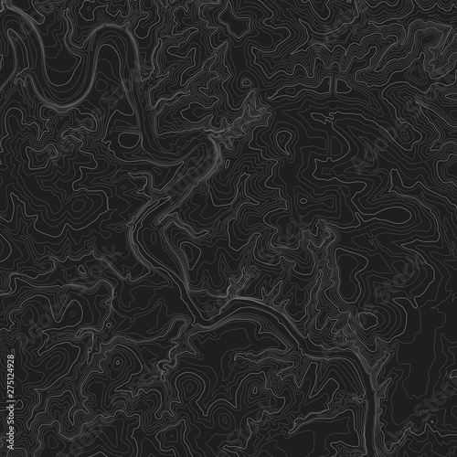Topographic Map Seamless Pattern. Vector Background.